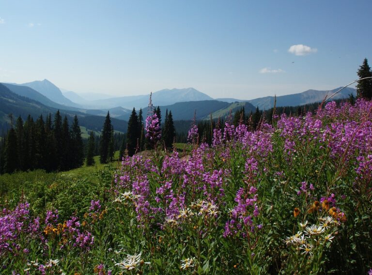 What to do in Snowmass in the summer?