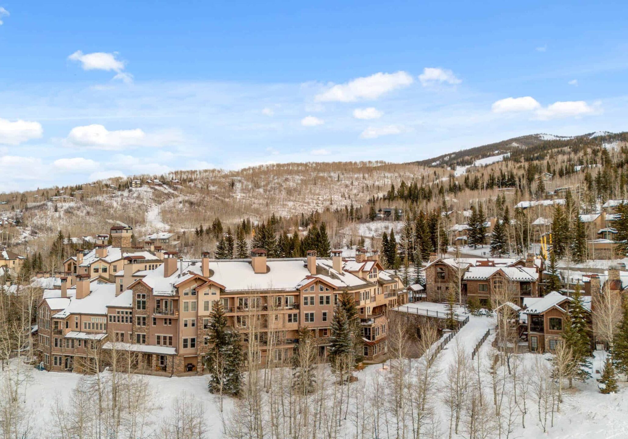 woodrun-20251214165208_0010_d_54987462258_o